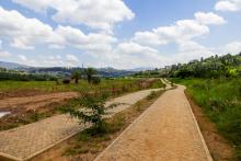 caminho através do pântano