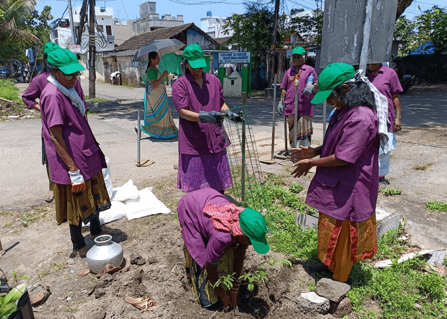Mulheres usando camisetas roxas e chapéus verdes plantam árvores.