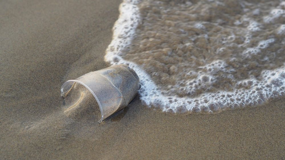 Um copo de plástico de uso único foi parar em uma praia.