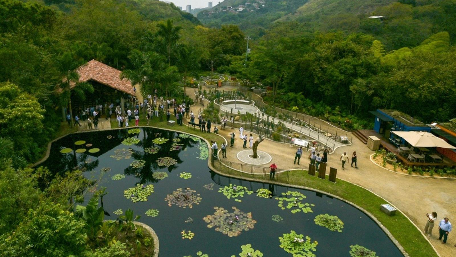 uma área rica em natureza