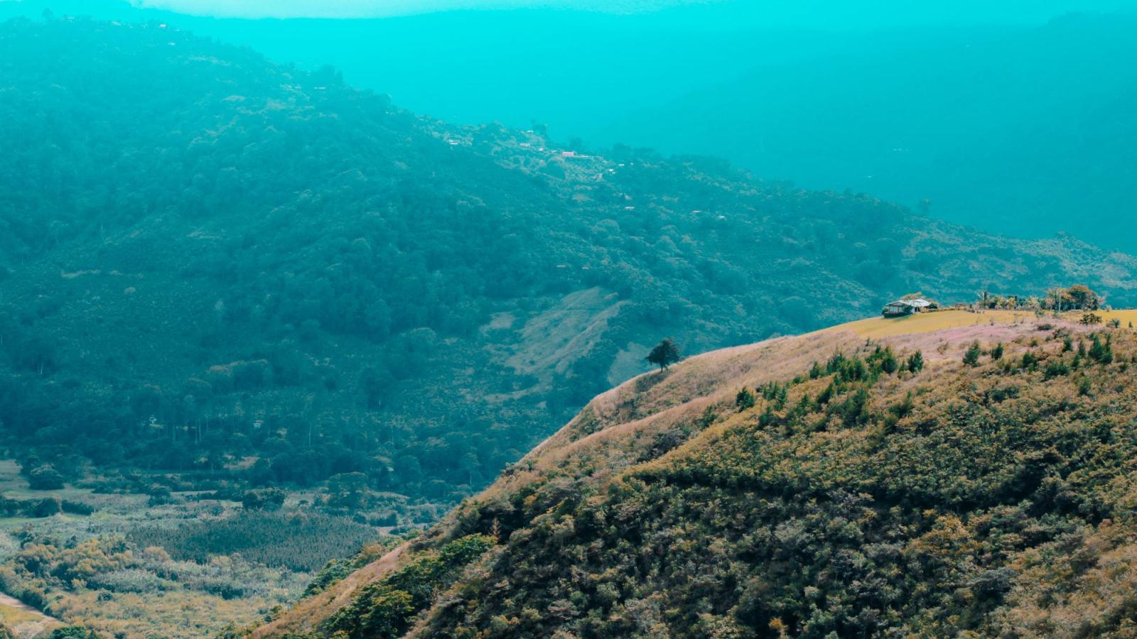 Colina em uma paisagem exuberante