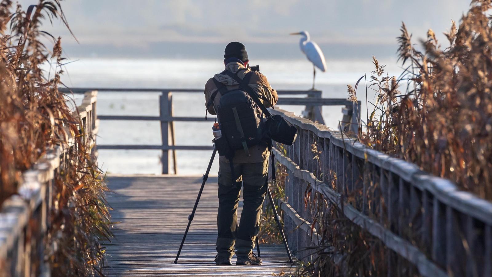 Um homem fotografando um pássaro em frente a um lago