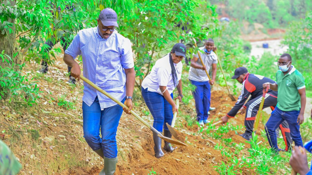 Cidade de Kigali O prefeito de Kigali Pudence Rubingisa participa de uma plantação comunitária de árvores. Cidade de Kigali / Flickr.