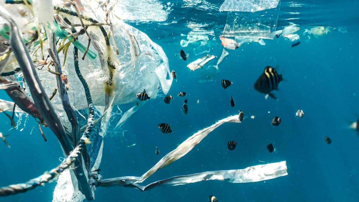 Peixes no oceano com poluição plástica