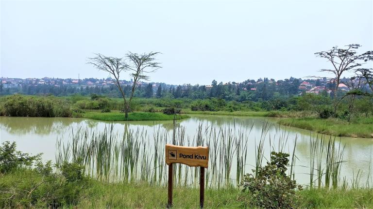 Ruanda do pântano de Kigali Nyandungu