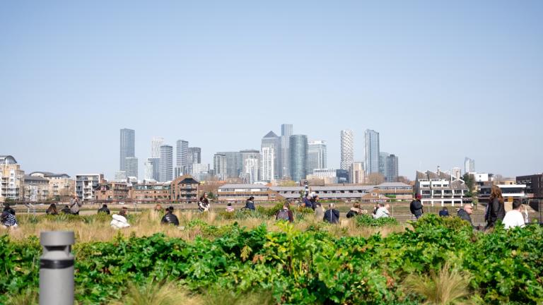 Paisagem urbana de um jardim no telhado