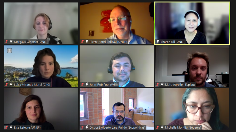 Panelists and organizers at the webinar