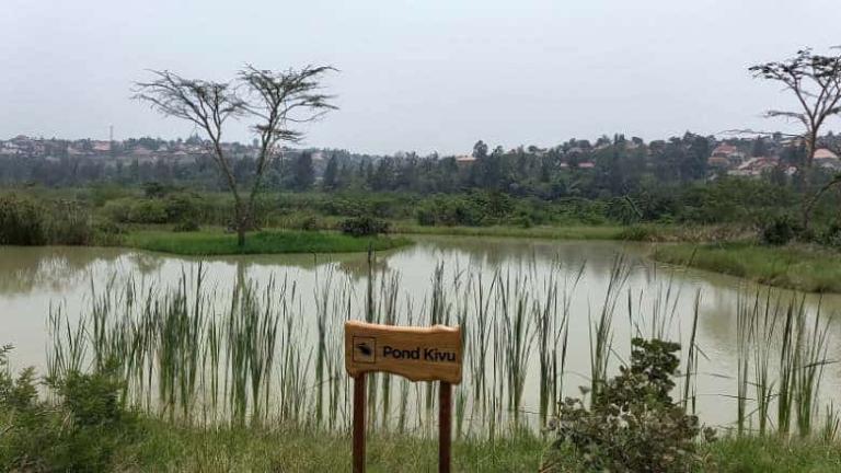 Um lago na zona úmida restaurada de Nyandungu, em Kigali