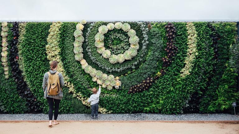 uma parede verde plantada em forma de espiral