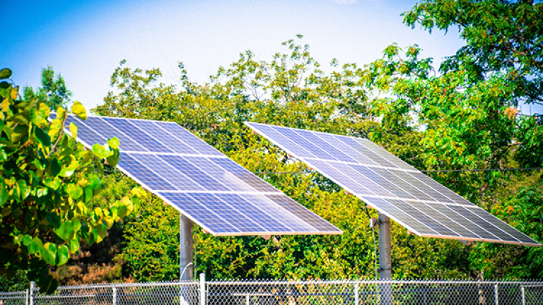 painéis solares em frente a árvores verdes