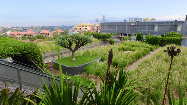 uma área verde em uma cidade com um horizonte ao fundo