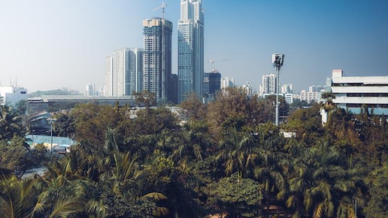 Uma vista do horizonte de uma cidade com vegetação em primeiro plano