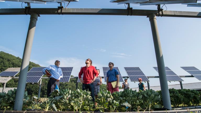 Pessoas e painéis solares em um jardim