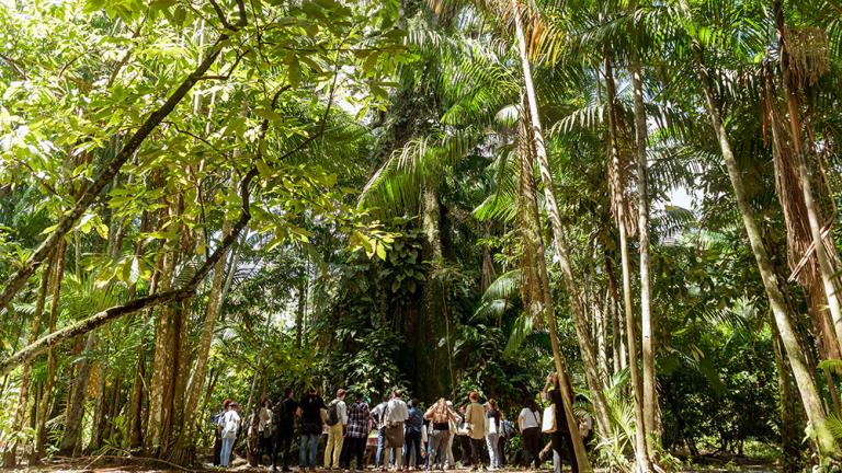 participantes do fórum urbanshift visitam a ilha de combu na região amazônica