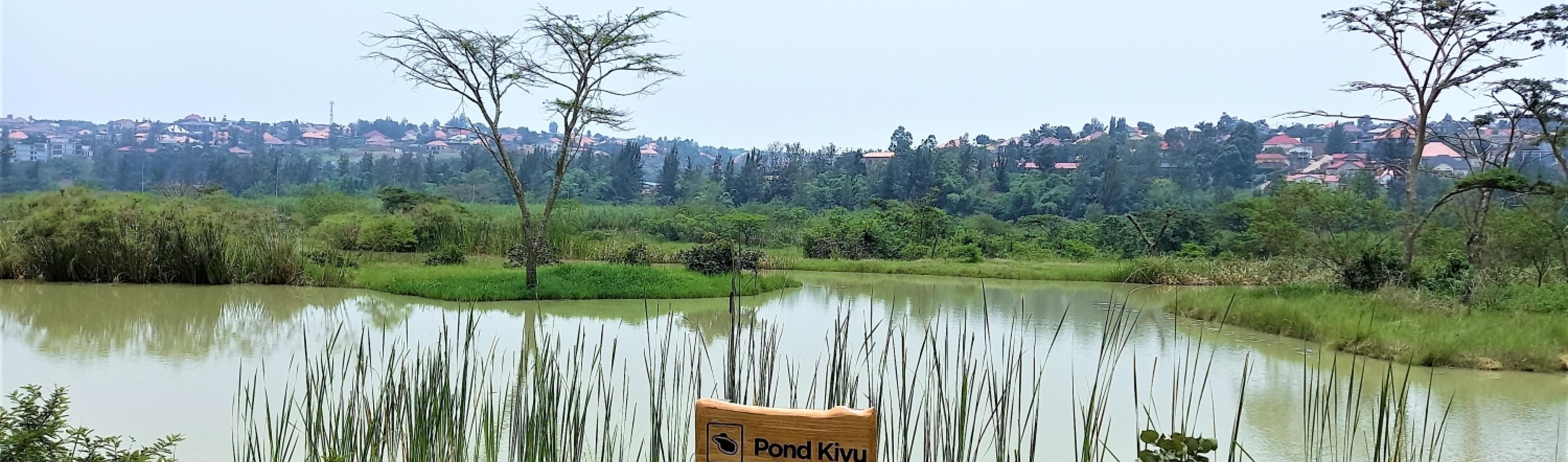 Ruanda do pântano de Kigali Nyandungu