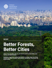 Capa do relatório - Melhores Florestas, Melhores Cidades