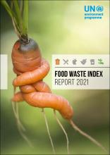 Food waste cover photo with carrot
