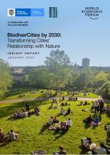 BiodiverCities by 2030