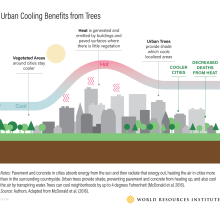 Benefícios do Refrigerador Urbano com a infografia de Árvores