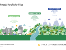 Benefícios das florestas para Cidades infográficas