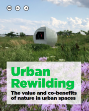 A capa de um relatório intitulado Urban Rewilding: The value and co-benefits of nature in urban spaces (O valor e os benefícios da natureza em espaços urbanos). O plano de fundo mostra um campo com grama verde e flores roxas, além de uma estrutura esférica.