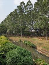 parque ecológico tebet